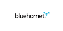 Blue Hornet
