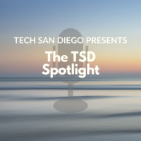 The TSD Spotlight-2